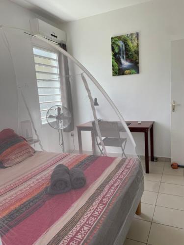 a bedroom with a bed with a glass canopy at Location villa Sainte-Anne - Martinique. in Sainte-Anne