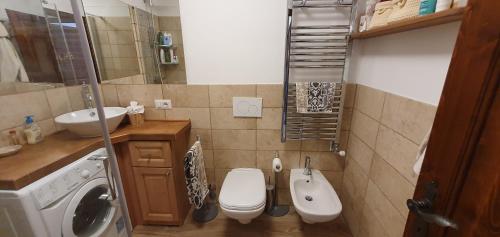 La salle de bains est pourvue de toilettes, d'un lavabo et d'un lave-linge. dans l'établissement Appartamento a Campo Carlo Magno, à Madonna di Campiglio