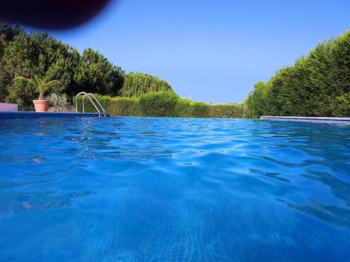 a large blue swimming pool with trees in the background at Monte da Figueira in Melides