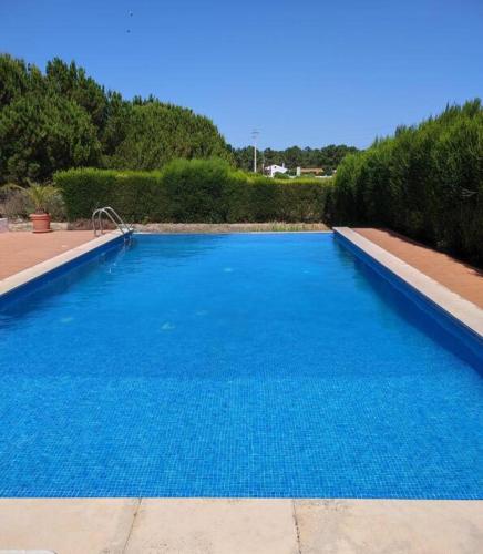 a large blue swimming pool in a yard at Monte da Figueira in Melides