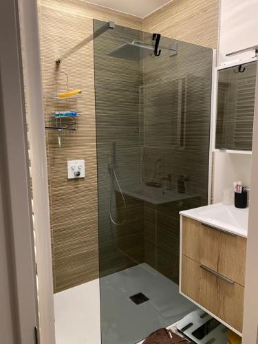 La salle de bains est pourvue d'une douche en verre et d'un lavabo. dans l'établissement La couette du voyageur, à Wanze