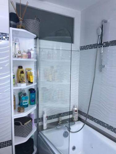 une salle de bain avec une douche, un lavabo et une baignoire dans l'établissement Maison calme proche centre ville, à Coulaines