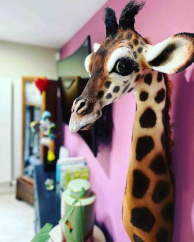 a giraffe standing next to a pink wall at Bonshaw Grange-Riverside Country Retreat, & HotTub in Lockerbie