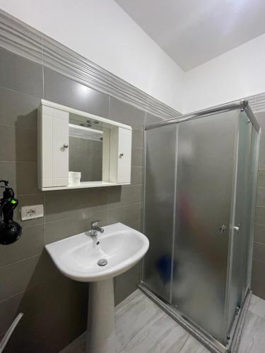 ein Bad mit einem Waschbecken und einer Dusche in der Unterkunft Sunny Apartment near Castle in Elbasan