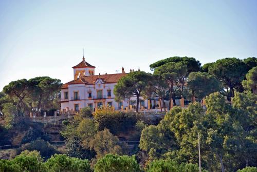 een huis bovenop een heuvel met bomen bij Hotel Oromana in Alcalá de Guadaira