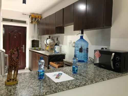 a kitchen with a counter top with bottles on it at Two Bedrooms Furnished Apartment in Nakuru in Nakuru