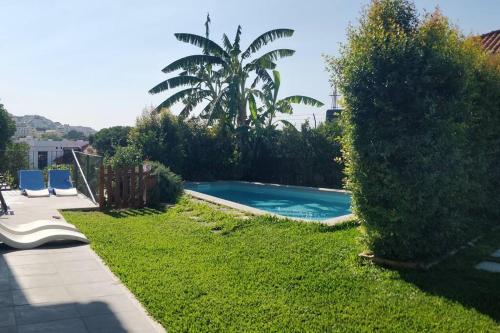 a swimming pool in a yard with a palm tree at Casa Jasmim in Algueirão - Mem Martins