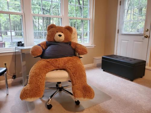 a large teddy bear sitting on top of a chair at Spacious Home by Kalahari Waterpark, Camelback and Jim Thorpe, FREE EV Station in Albrightsville