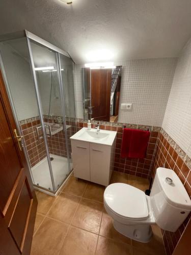 a bathroom with a toilet and a shower and a sink at Casa Cuevas del Sol in Setenil