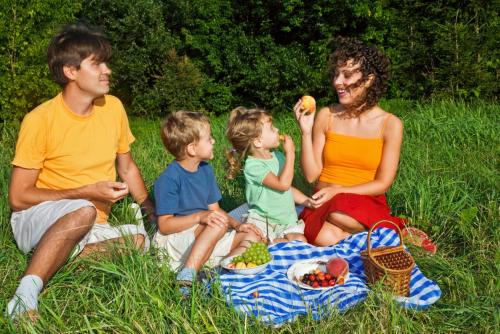 a family sitting on a blanket in the grass at Village de Gites le Colombier in Mende