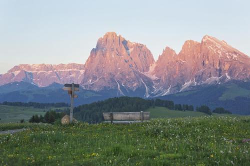 a bench in a field with mountains in the background at ICARO Hotel in Alpe di Siusi