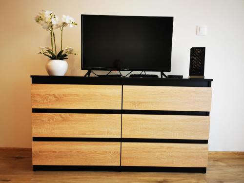 a tv on top of a dresser with a television on it at Danube Apartman in Budapest