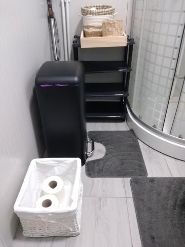 Bilik mandi di Glamping pe Drum Transfagarasan srl