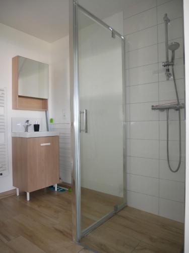 La salle de bains est pourvue d'un lavabo et d'une porte de douche en verre. dans l'établissement Studio lumineux avec terrasse, à La Roche-sur-Yon