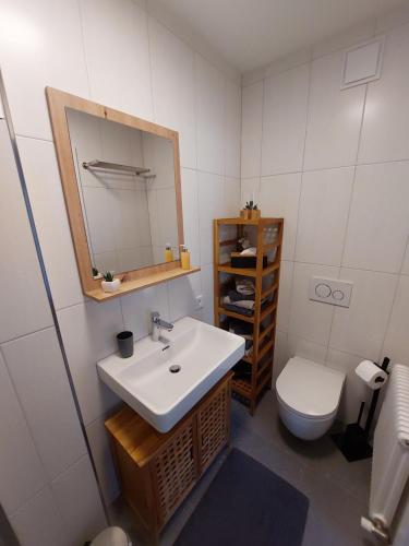 a bathroom with a sink and a toilet and a mirror at Dolomitenhome Apartments in Patriasdorf