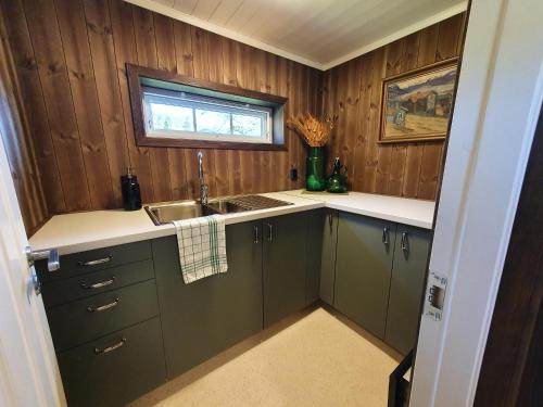 a kitchen with green cabinets and a sink and a window at Bolkesjø Gaard in Notodden