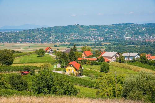 a small village on a hill with houses and trees at Apartments Vinska Trta in Čatež ob Savi