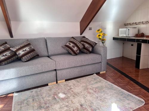 sala de estar con sofá gris con almohadas en VIRREYES HOTEL, en Potosí