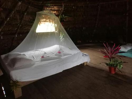 Bribri Eco Aventura