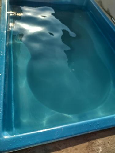 d'une baignoire bleue avec de l'eau. dans l'établissement Casa Serra da canastra, à São João Batista do Glória