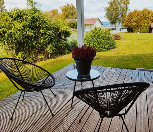 ガイエンホーフェンにあるWunderschönes Haus am See - Seeblick, großer Garten, Südbalkon, Carport & Smart-TVの鉢植えの植物があるデッキの椅子2脚とテーブル