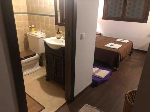 ein Bad mit einem Waschbecken, einem WC und einem Bett in der Unterkunft CASA RURAL EN BOSQUE DE PALMERAS in Alberche del Caudillo