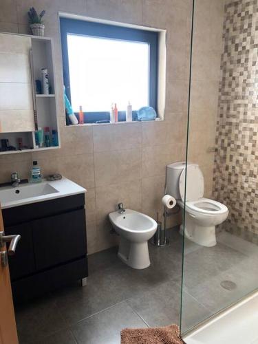 ein Bad mit einem WC, einem Waschbecken und einer Dusche in der Unterkunft Monte Carmelo Country House 