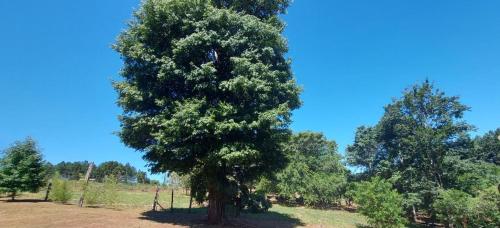 Casa de Campo Villa Rosa – Photos 3