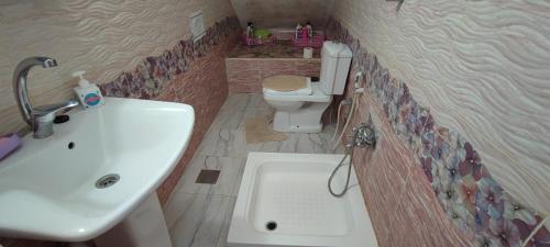 a bathroom with a sink and a toilet at Adorable studio with farm view in Nijil