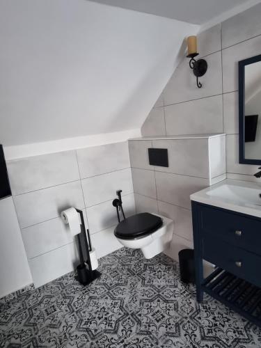 a bathroom with a toilet and a sink at Luxusní apartmán s krbem - Kunratické Švýcarsko in Kunratice