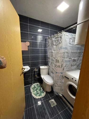 een kleine badkamer met een toilet en een wastafel bij FG 2 apartment in Gnjilane