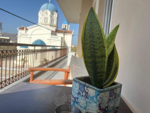 a plant in a pot sitting on a table at Lenio’s in Karistos