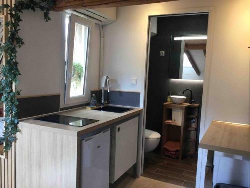 Il comprend une petite cuisine avec un lavabo et des toilettes. dans l'établissement Studio de charme au coeur de la vieille ville, à Nice