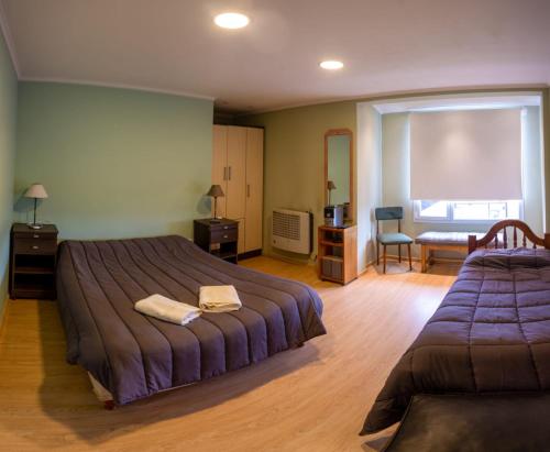 Cette chambre comprend 2 lits et une fenêtre. dans l'établissement Casona confortable y cálida con hermoso jardín, à Río Gallegos