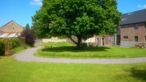 a tree in a yard next to a brick building at B&B Au Coeur de Villers in Villers-Sainte-Gertrude