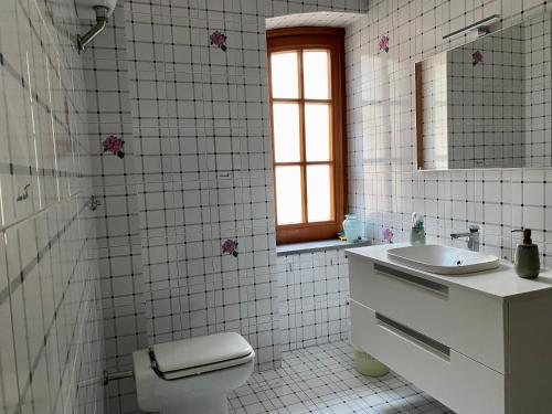 een badkamer met een toilet, een wastafel en een spiegel bij Books art and wine Cicciano in Cicciano