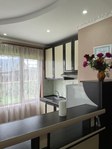 una cocina con fregadero y una barra con un jarrón de flores en Artina Guest House, en Tatʼev
