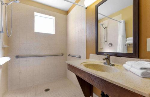 a bathroom with a sink and a shower and a mirror at Extended Stay America Select Suites - Phoenix - Airport - E Oak St in Phoenix