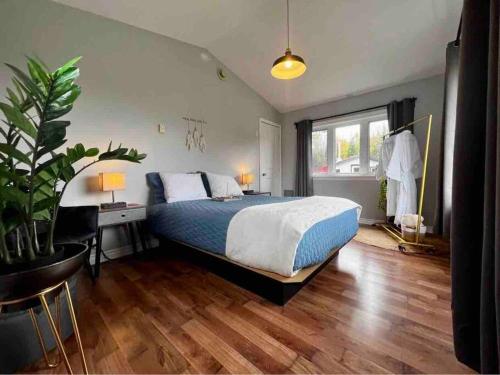 1 dormitorio con 1 cama y una maceta en Chalet BIA - Le Petit Chaleureux, en Ham Nord