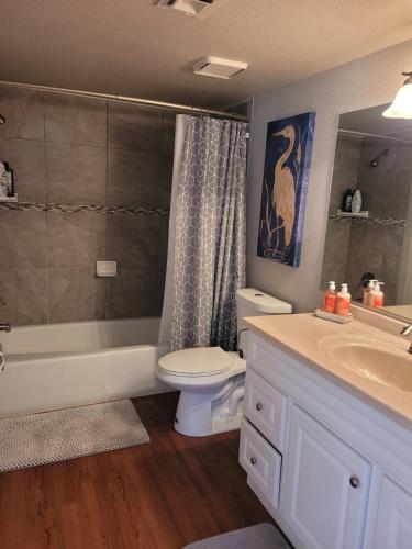 a bathroom with a toilet and a tub and a sink at Riverfront Escape with boat dock! in Parker