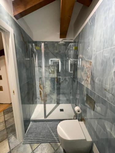 a bathroom with a shower and a toilet at Suite Indipendenza 58 in Bologna