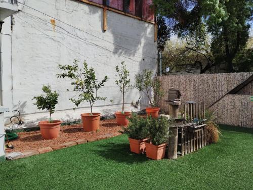 um jardim com vasos de plantas na relva em Mendoza Estudio Urbano II em Mendoza