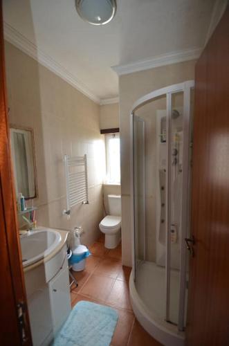 a bathroom with a shower and a sink and a toilet at villa Lagoa in Óbidos