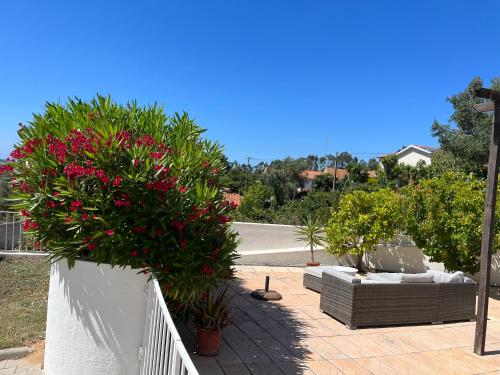 a white fence with flowers and plants on a patio at villa Lagoa in Óbidos