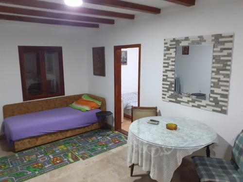 ein Schlafzimmer mit einem Bett, einem Tisch und einem Sofa in der Unterkunft Apartman Vidikovac in Varna
