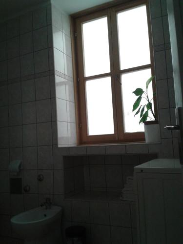 Old Town Apartment Mila