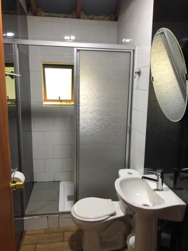 a bathroom with a shower and a toilet and a sink at Refugio Wanglen Cabañas y Tinajas hidromasaje in Lago Ranco