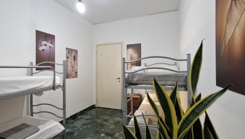 MilanRentals - Pisacane Apartment