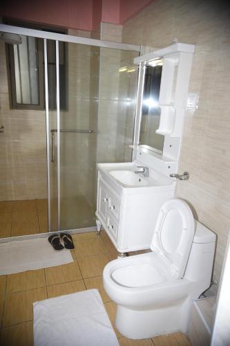 a bathroom with a toilet and a sink and a shower at Beauty Homes Kilimani in Nairobi