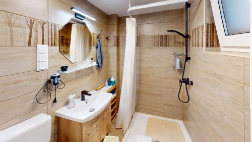 La petite salle de bains est pourvue d'un lavabo et d'une douche. dans l'établissement Silver Zsóry Apartman, à Mezőkövesd